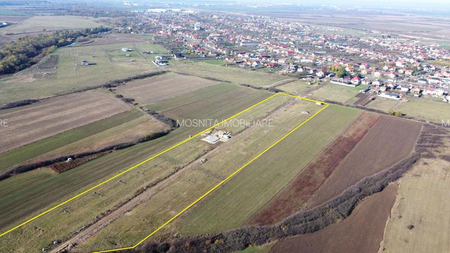 Terenuri Remetea Mare, cu toate utilitatile - 69euro/mp+TVA - 5