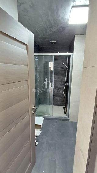 Proprietate Speciala, Casa pe 2 Nivele si 1 Studio, Curte proprie, Zona Dambu