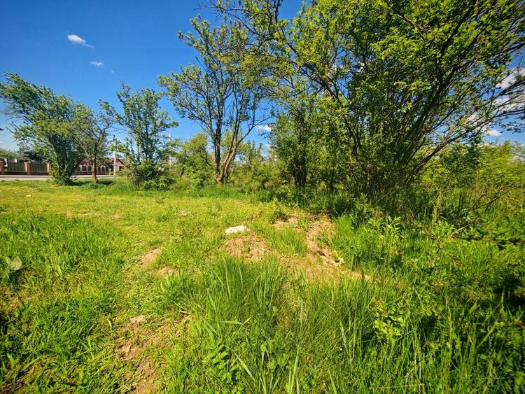 Teren intravilan 2.000 mp in Mioveni – Ideal pentru casa sau investitie!