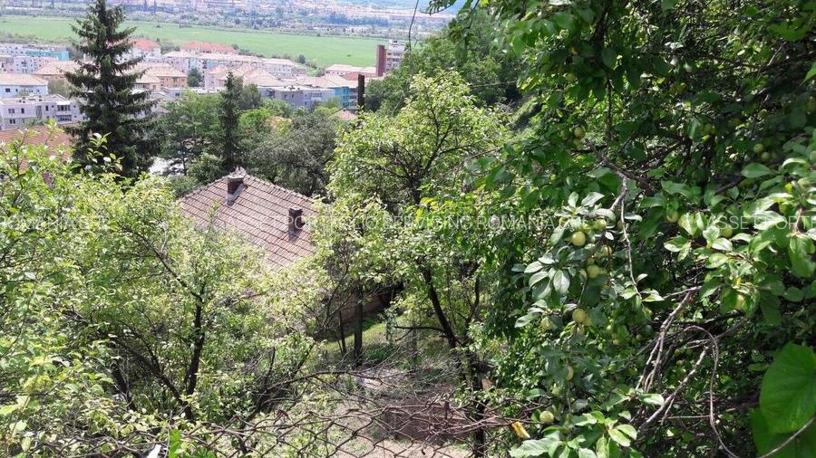 teren Medias, 1000 mp - 2