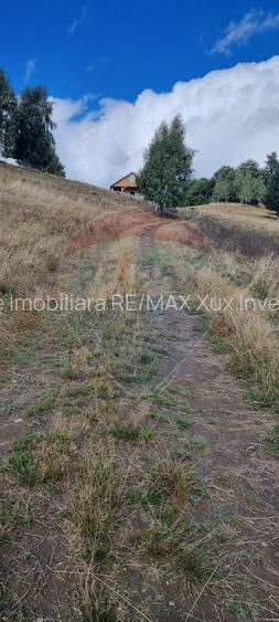 Teren  extravilan - 5