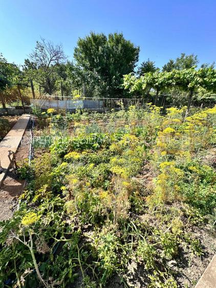 Casa spatioasa in Ovidiu - 20