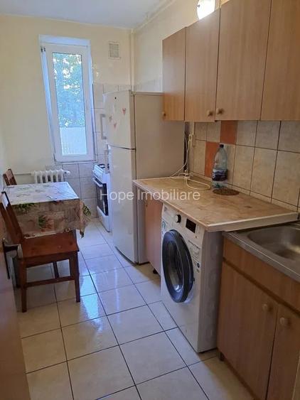 Teiul Doamnei - Garsoniera bloc mixt - 6