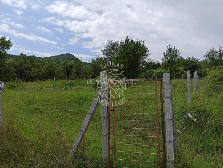 Teren 1000mp+cota drum-ideal cabana/investitie-panorama-Valea Rusului - 4