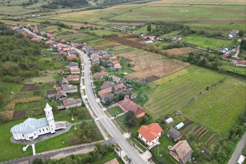 Teren 3200 mp I intravilan I Certificat Urbanism I Aschileu Mic - 10