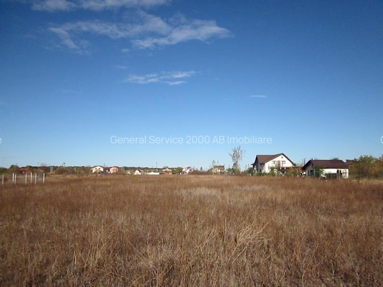 Domnesti-Teghes - 14