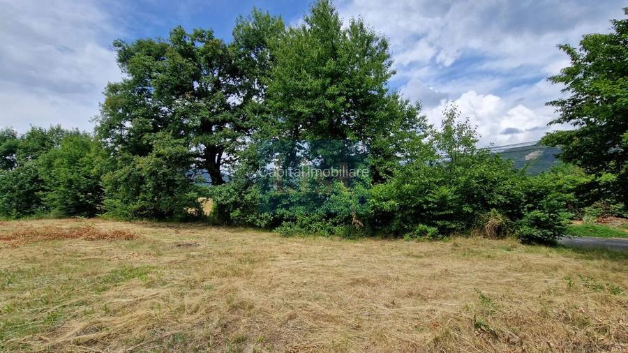 Teren Baia Sprie: 5143 mp, Parcelabil, Comision 0! - 3