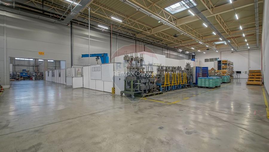 Hală industrială 5.000–12.000 mp de închiriat, Ghimbav - 19