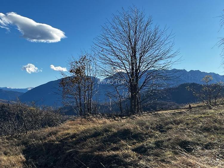 Proprietar vand teren extravilan 2ha, PANORAMA SUPER, Poiana Marului - 4