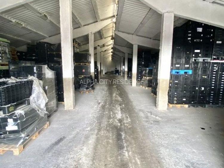 Hala pt depozitare 1200mp in Remetea Mare! Acces TIR - la sosea - 4