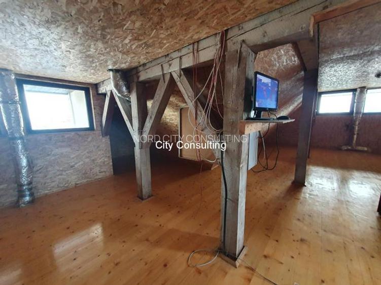 Vanzare vila Mogosoaia - Chitila Lac - 15