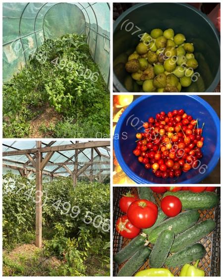 Casa de vanzare Belciugatele - DIRECT PROPRIETAR - 6