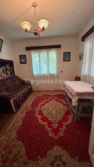 casa batraneasca cu teren mare - 7