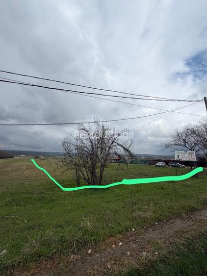 Teren intravilan de5000mp  - 3