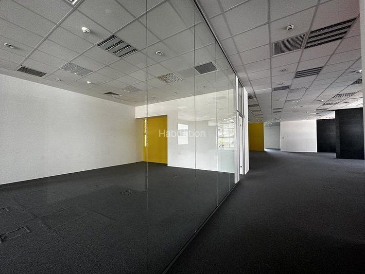 Birouri clasa A - 130 mp - 6