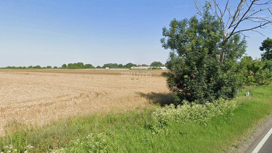 Extravilan, 17500 mp, Sag, Timis, DN69 - 5