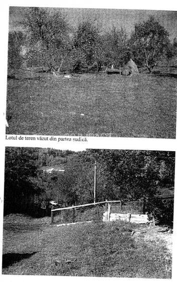 teren intravilan 5000 mp Prundu Bargaului, jud. Bistrita Nasaud - 2