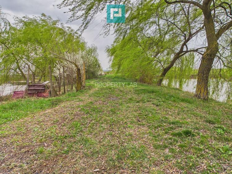 Teren 1 ha cu baltă populată – Alioș (Mașloc) - 11