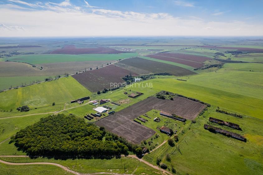 Teren de 69188 mp în Seceani - 3