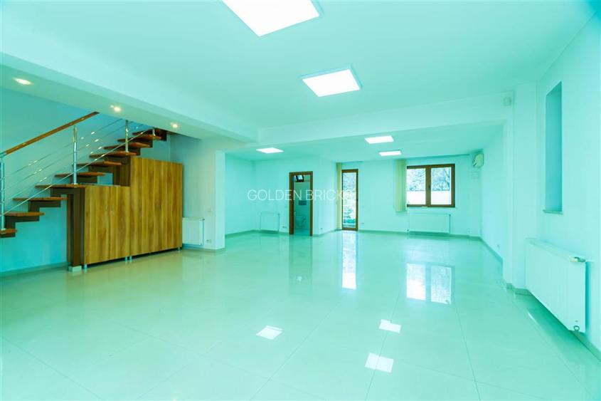 Piata Victoriei | Parter si etaj in vila | Garaj | 160mp - 13