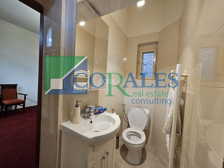 Piata Unirii. Strada pietonala. Cladire renovata! - 12