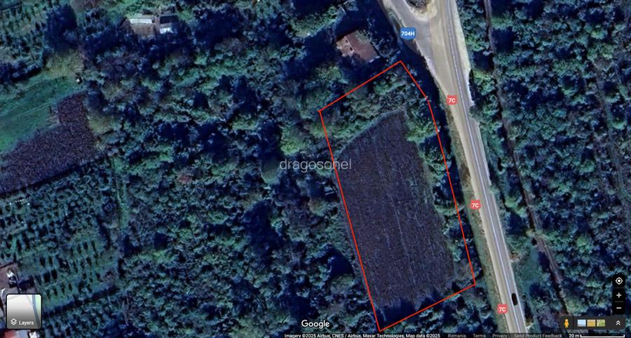 Teren intravilan pentru afacere/constructii, Merisani stradal la DN 7C - 4