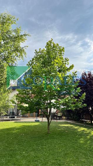 Individuala, 770 teren.Gradina Amenajata.Mobilata+Utilata.Comision 0%. - 18