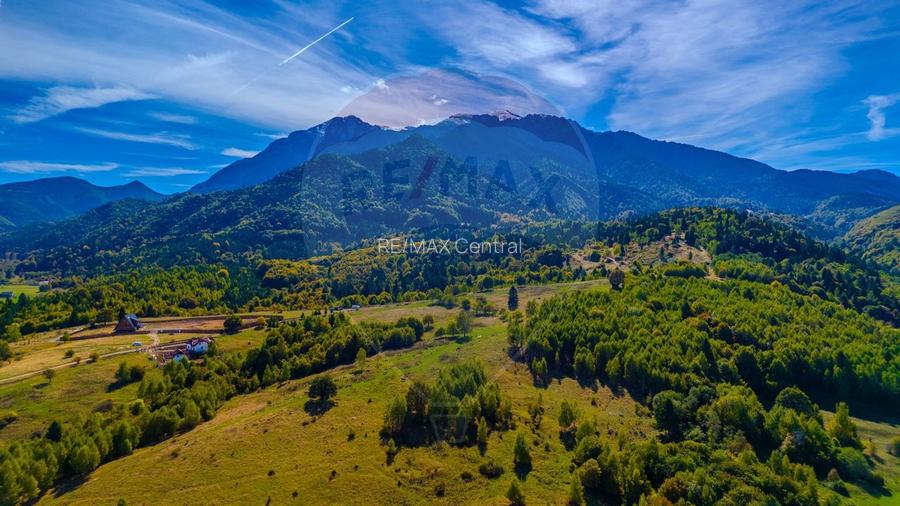 Teren Rasnov, Valea Panicelului 4253mp, izvor pe teren - 3