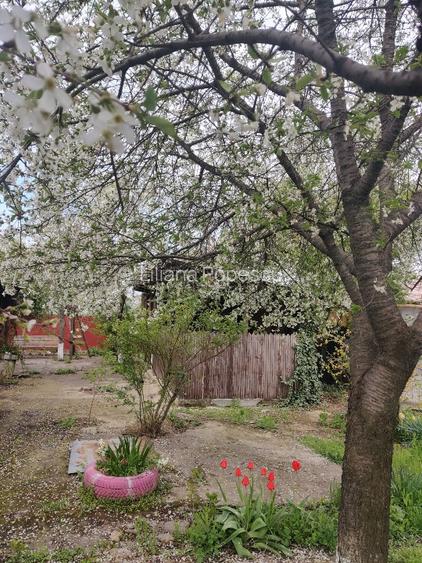 De vanzare casa spatioasa in comuna Marsa, Giurgiu - 6