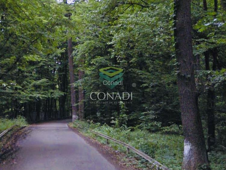 Oportunitate-Teren Snagov cu Deschidere Directa Lac si Padure 12.135mp - 2