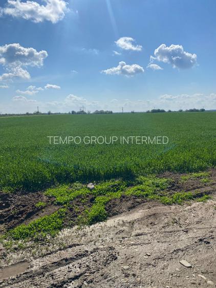 Sabareni - Certificat de Urbanism - 5808mp teren pentru investitie !! - 16