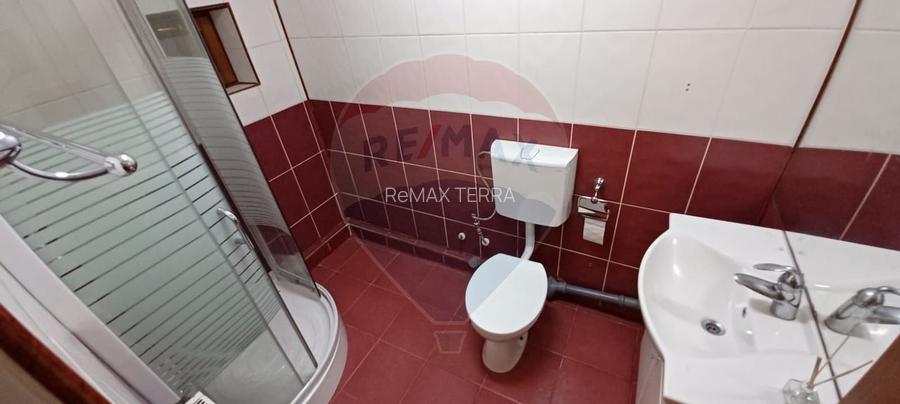 DE INCHIRIAT: Casă / Vilă P+1 - Zona Centrala BAIA MARE - 14