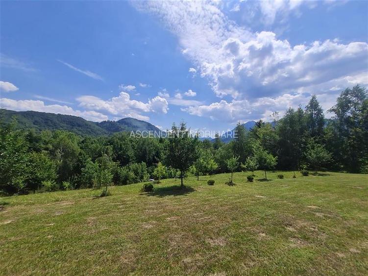 FILM! Oaza paradisiaca cu lac, vedere catre Bucegi, Glajerie/ Rasnov, pretabil C - 10