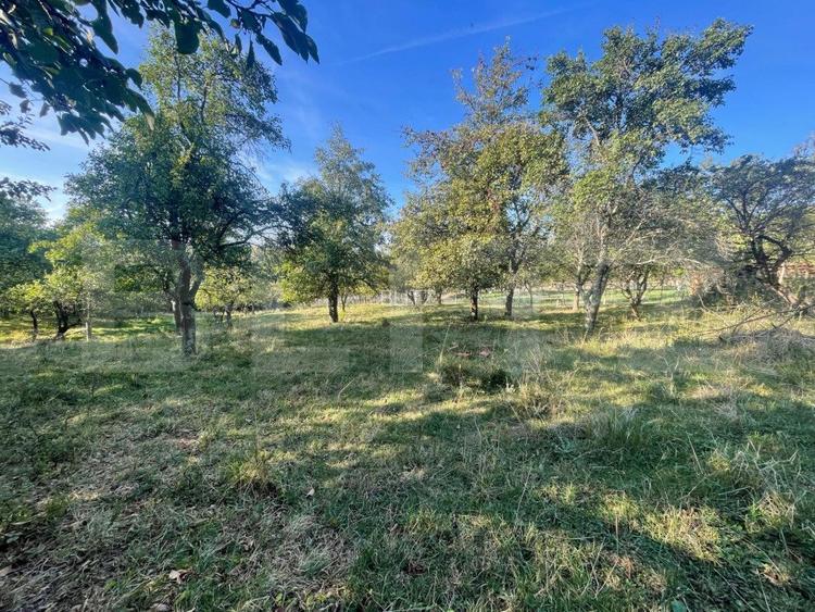 Casa de vanzare, 70 mp , teren de 3000 mp , Cacova Ierii  - 6