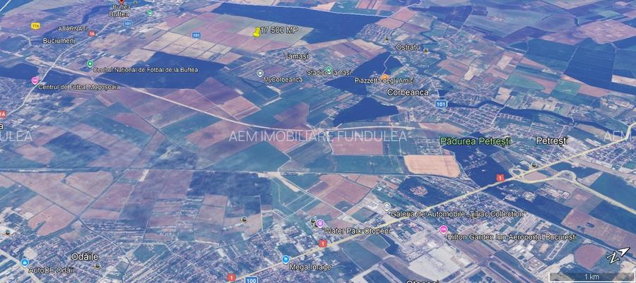 Teren intravilan Buftea 17500 mp - 5