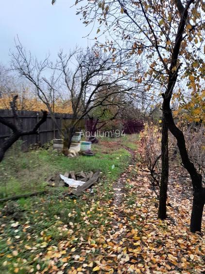 ISLAZ / IF - CASA P+1 (7 CAM) DE VANZARE - 49