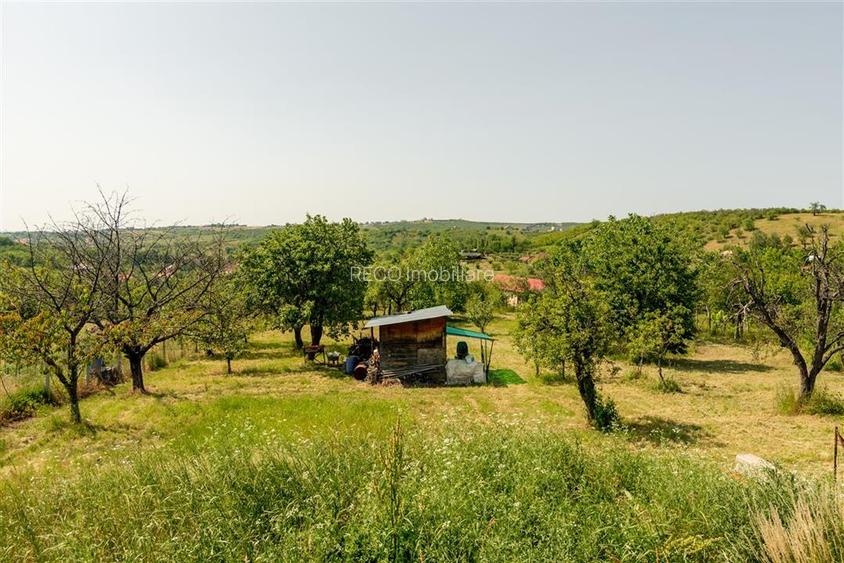 Casa cu living+3 camere cu panorama si teren mare pe Sofiei - 31