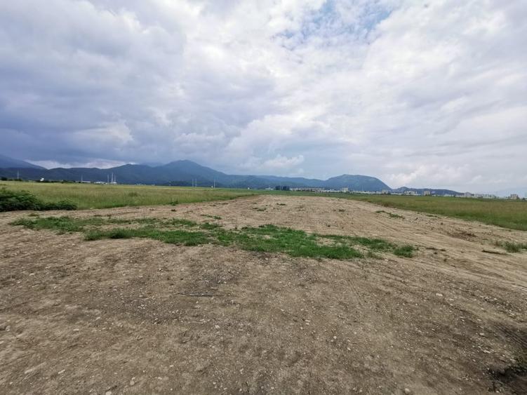 Teren pentru hale si depozite Timisul sec- Uzina 2 front la ocolitoare
