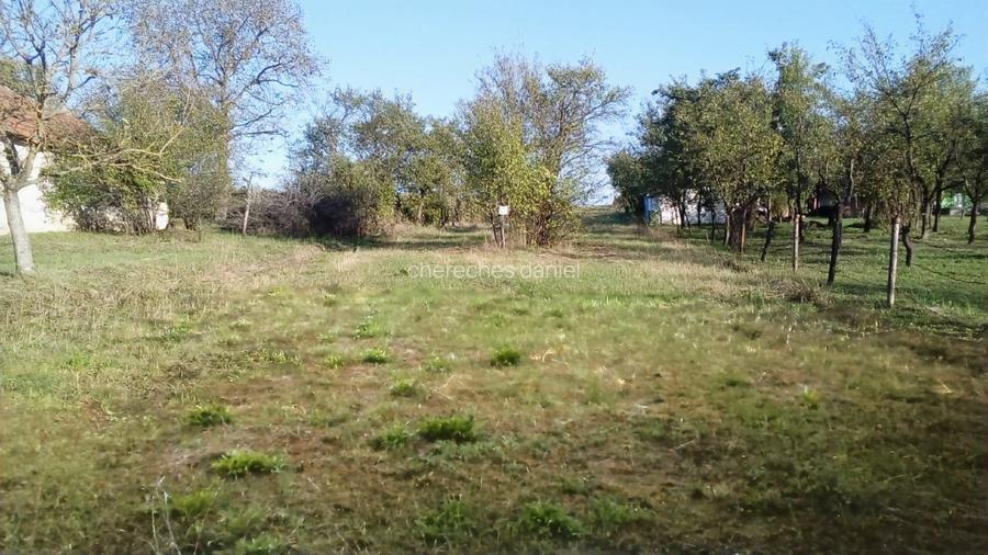 Teren intravilan Ardud Vii - 5