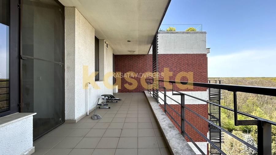 2 camere I 89 mp utili I 17 mp terasa I mobilat si utilat I Pipera - 15