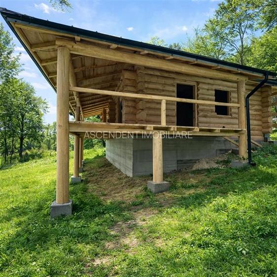 3.000mp de incantare montana cu cabana din lemn masiv, Zarnesti Tohanita - 6