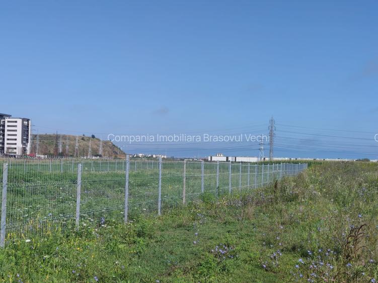 Teren intravilan cu potențial excelent în Triaj, Narciselor, pentru dezvoltatori - 6