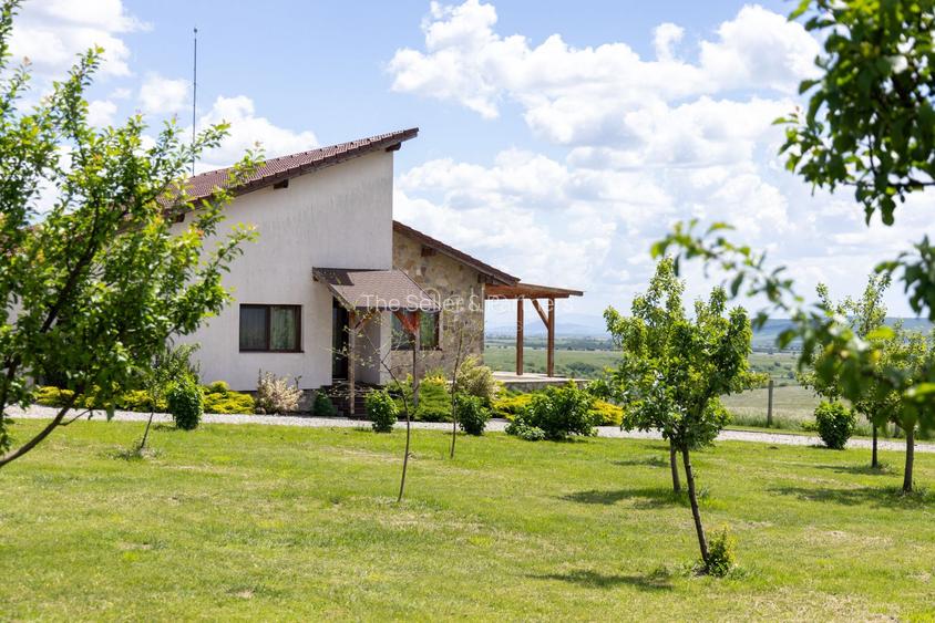 PROPRIETATE CU LIVADA MATURA DE NUCI SI POTENTIAL INVESTITIONAL - 86