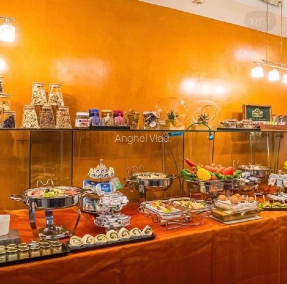 Proprietar vând Hotel Boutique  la Timișoara  - 13