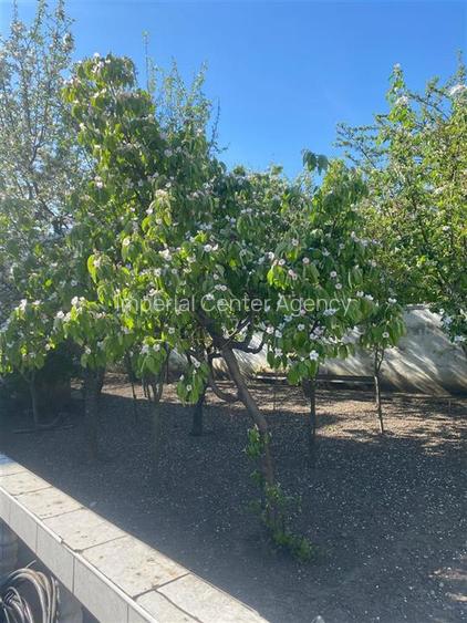 Vila P + 1 si  teren atat ptr.bussines cat si ptr locuit Onesti - 6