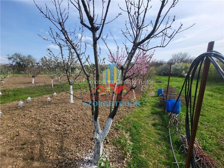 Vanzare casa Bolintin Vale Suseni 104 - 10