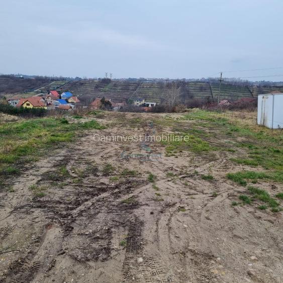 Vanzare Teren intravilan 3133 mp strada Sofiei, Oradea, Bihor - Exclusivitatate - 3