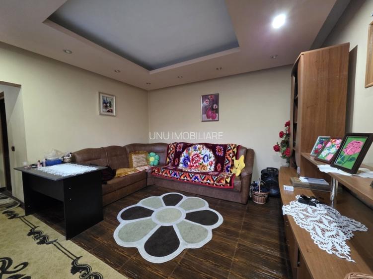 Casa Individuala-zona Podu de Fier - 20