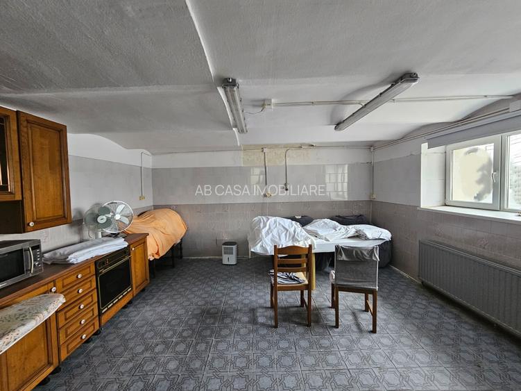 Casă individuală deosebită, P+D, Timișoara, zona Lipovei, aproape de Iulius Mall - 18