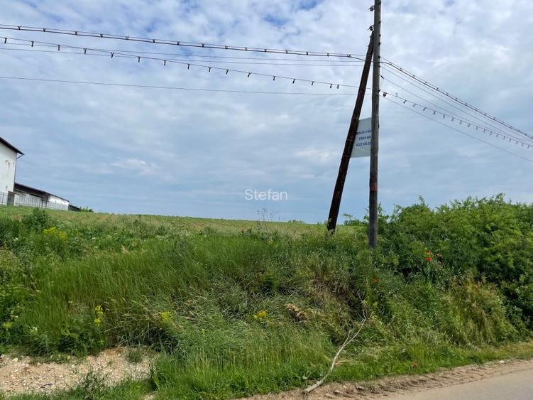 Teren Piscu intravilan,12500 mp, 15 euro mp, 30 m deschidere, toate utilitatile - 7